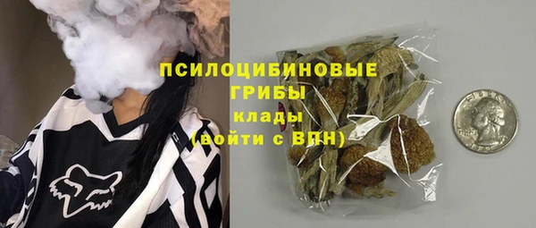 PSILOCYBIN Алексеевка