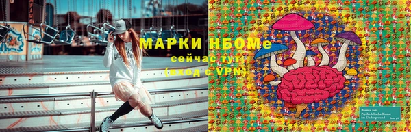 кокс Алексин