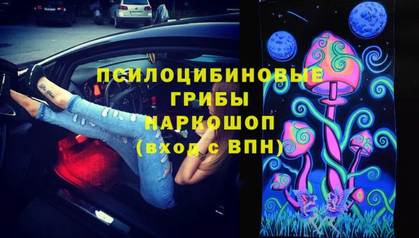 PSILOCYBIN Алексеевка