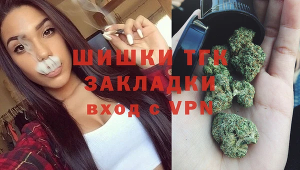 ГАЛЛЮЦИНОГЕННЫЕ ГРИБЫ Алзамай