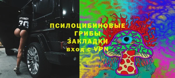 ГАЛЛЮЦИНОГЕННЫЕ ГРИБЫ Алзамай