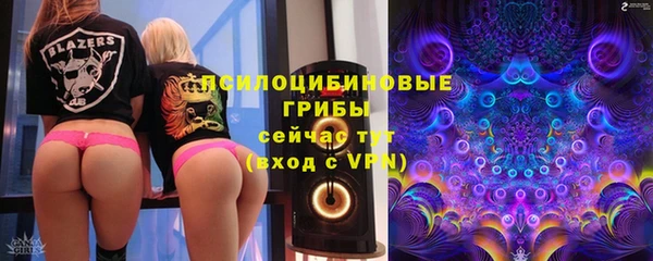 ГАЛЛЮЦИНОГЕННЫЕ ГРИБЫ Алзамай