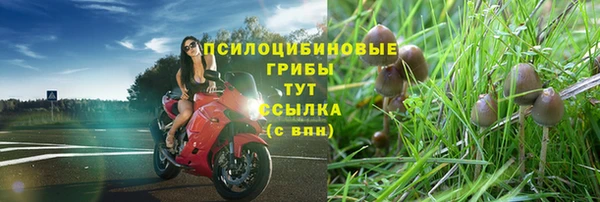 PSILOCYBIN Алексеевка