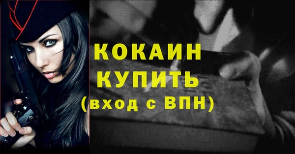 кокс Алексин