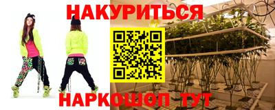 гидропоника Камышлов