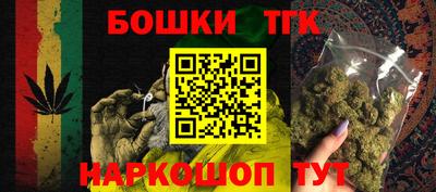 гидропоника Камышлов
