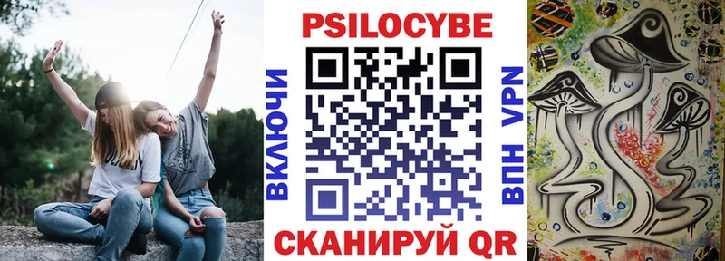 mega рабочий сайт  Набережные Челны  Псилоцибиновые грибы Psilocybe 