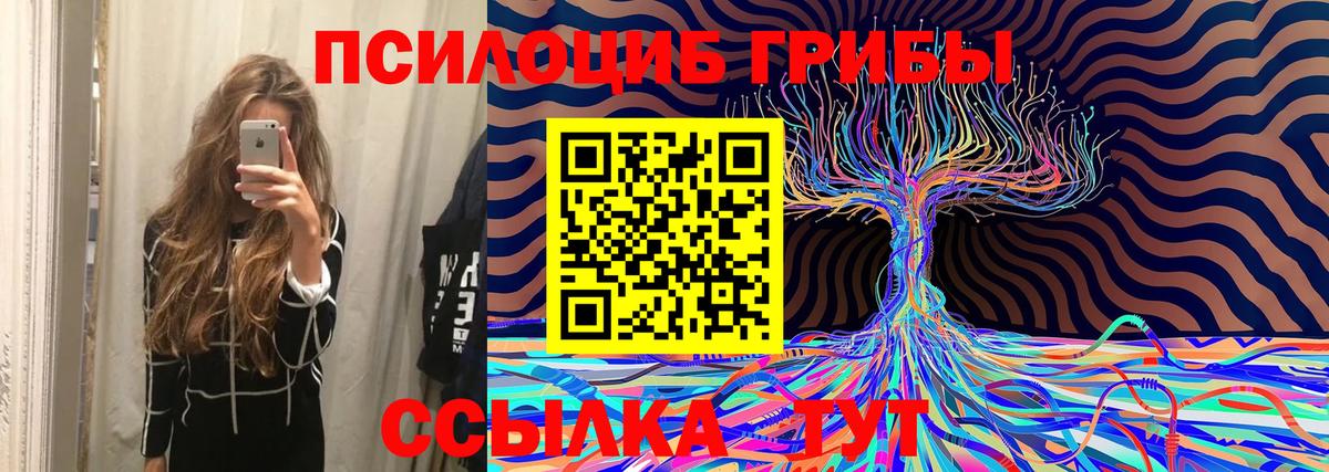 Галлюциногенные грибы Psilocybe  Галлюциногенные грибы MAGIC MUSHROOMS  Вход с VPN  Набережные Челны 