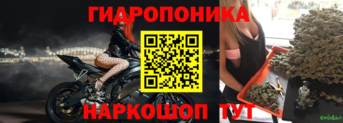 Марихуана Amnesia  Каннабис семена  Набережные Челны  Каннабис тримм  Вход с VPN 